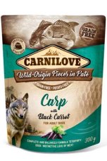 Carnilove Dog Pouch Paté Carp with Black Carrot 300 g
