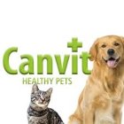 Canvit
