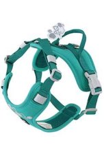 Hurtta Weekend Warrior II ECO postroj paví zeleň 45-60 cm