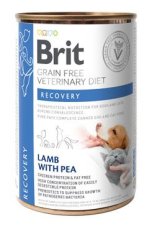 Brit VD Dog+Cat GF konz Recovery 400g