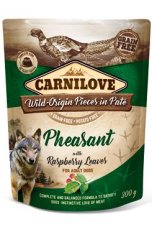 Carnilove Dog Pouch Paté Pheasant with Raspberry Leaves 300 g